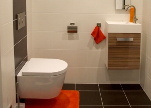 Compleet Rimless toilet